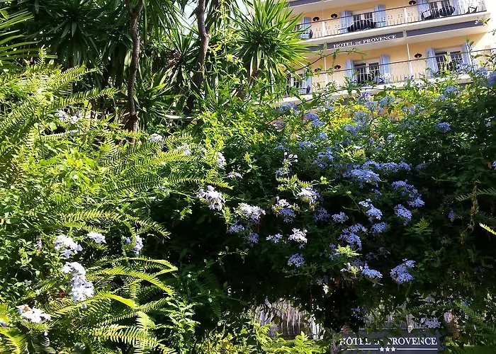 酒店 普罗旺斯酒店 3*